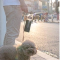 Human & Dog Water Bottle
