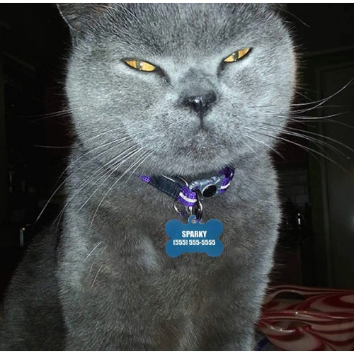 Stylish Pet ID Tag