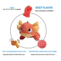 Squeaky Plush Dog Toys Pack for Puppy
