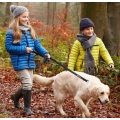 Training Walking Dog Lead