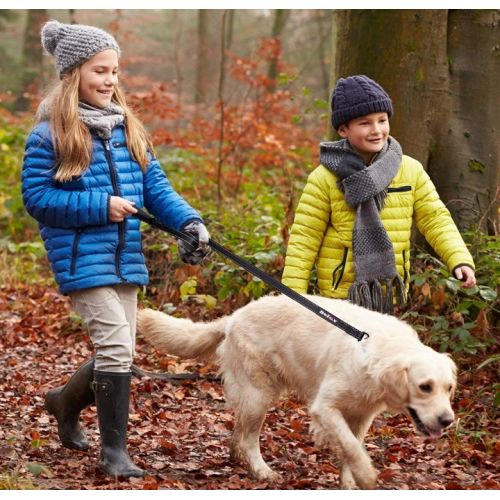 Training Walking Dog Lead