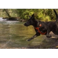 Heavy Duty Dog Harness