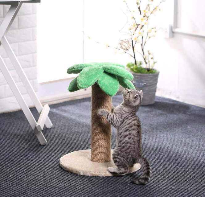 Kittens Scratch Post