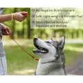 Effective Training Tools for Puppy or Cat