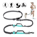 Hands Free Dog Leash