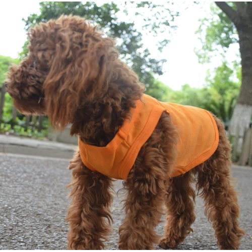 Puppy Dog Clothes Blank T-Shirt Tee Shirts