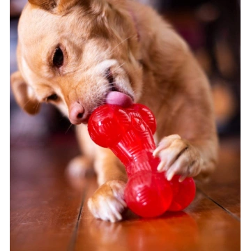 6.5" Large Bone Dog Toys