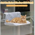 Cat Hanging Radiator Bed
