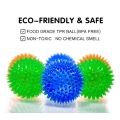 6 Pack Bright Colors TPR Puppy Toys