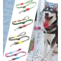 Full Color Polyester Dog Leash