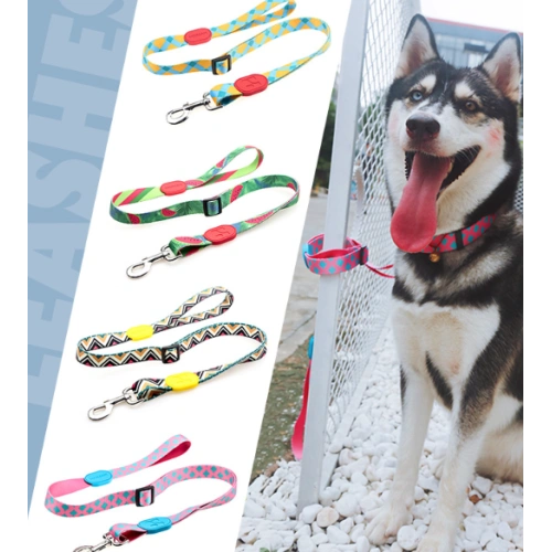 Full Color Polyester Dog Leash