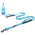 Training Walking Dog Lead