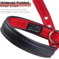 Soft Padded Dog Collar with Buckle