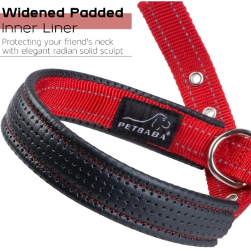 Soft Padded Dog Collar with Buckle