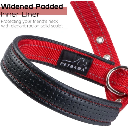 Soft Padded Dog Collar with Buckle