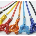 Print Cartoon Small Dog Harness