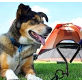 Pet Dog Ground Stake
