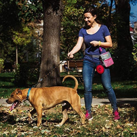 Dog Treats Waist Bag