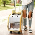 Big Space Folding Dog Backpack