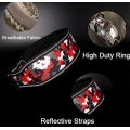 Soft Lining Padded Dog Collar