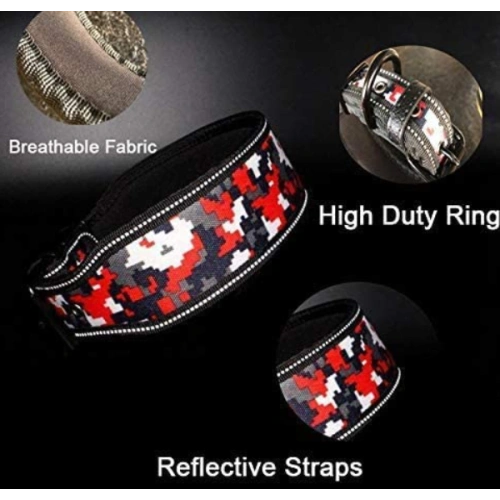 Soft Lining Padded Dog Collar