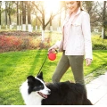 Heavy Duty Retractable Leash