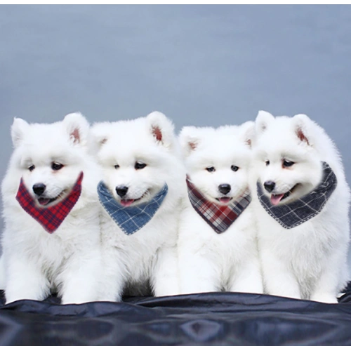 Organic Cotton Pet Dog Bandana