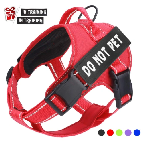 Adjustable Outdoor Dog Vest Harness