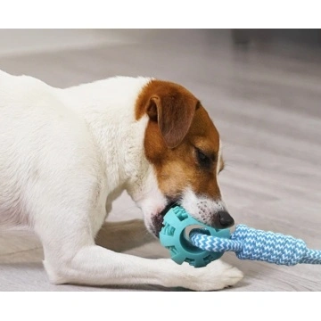 Rope Tugging & Ball Chew Dog Toy