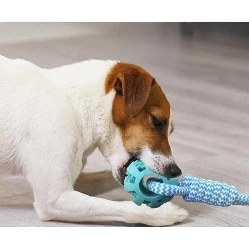 Rope Tugging & Ball Chew Dog Toy