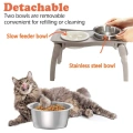 Pet Food Water Feeder Bowls