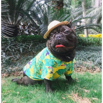 Dog Hawaiian T-Shirt Apparel