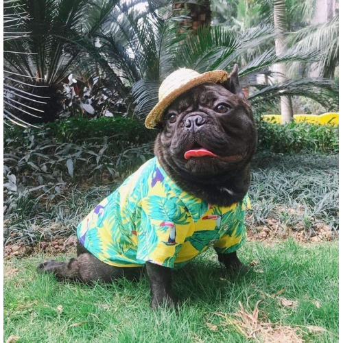 Dog Hawaiian T-Shirt Apparel
