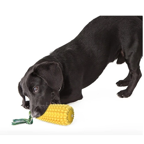 Squeaky Pet Dog Chew Toy