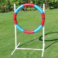 Lightweight Agility Practice Tire for dog