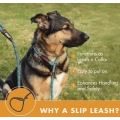 Durable Dog Slip Rope Leash