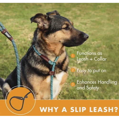 Durable Dog Slip Rope Leash