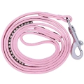 Pink Pet Dog Leash