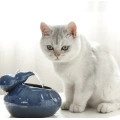 Automatic Ceramic Hoist Pet Water Fountain