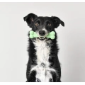 Tough Nylon Bones for dogs