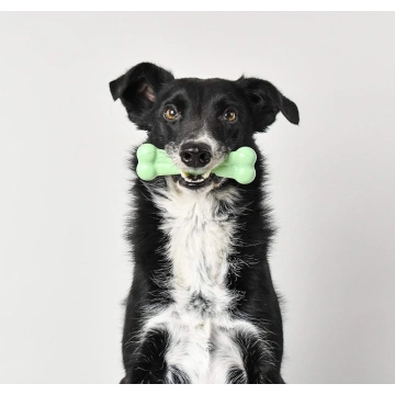 Tough Nylon Bones for dogs