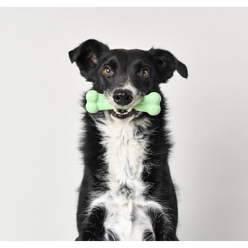Tough Nylon Bones for dogs