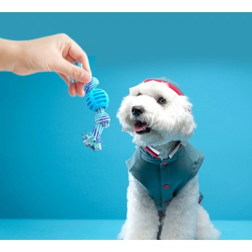 Pet Dog Chew Toy