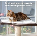 Cat Tree Scratching Posts