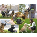 Dog Treat Pouch Built-in Poop Bag Dispenser