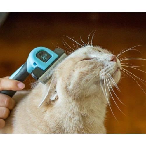 Pets Brush for Shedding