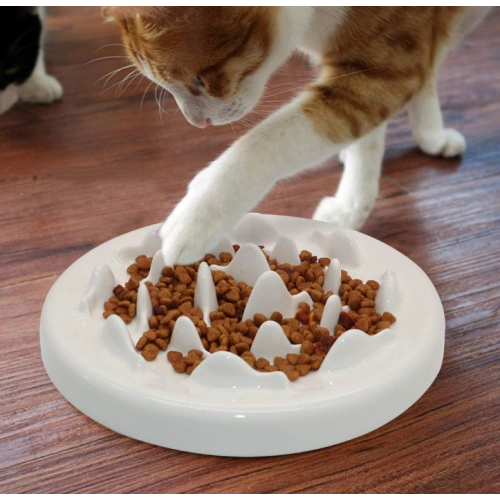 Ceramic Slow Cat Bowl