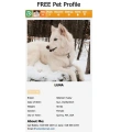 Advanced QR Code Pet ID Tag