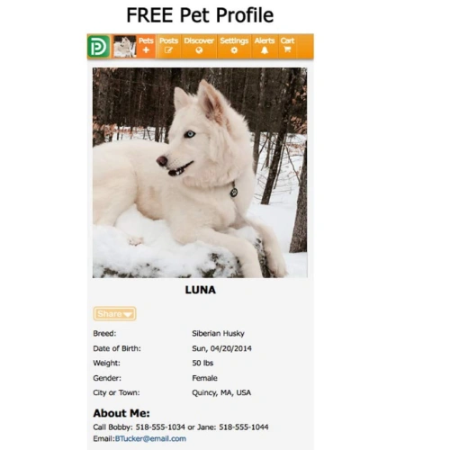 Advanced QR Code Pet ID Tag