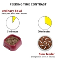 Anti-Gulping Pet Slower Food Dish